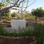 Tatil Evi La Casina Di Anna Menfi